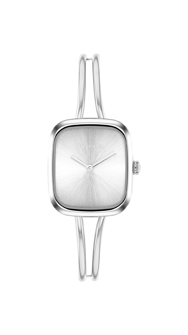 Orologio Calvin Klein 25100131