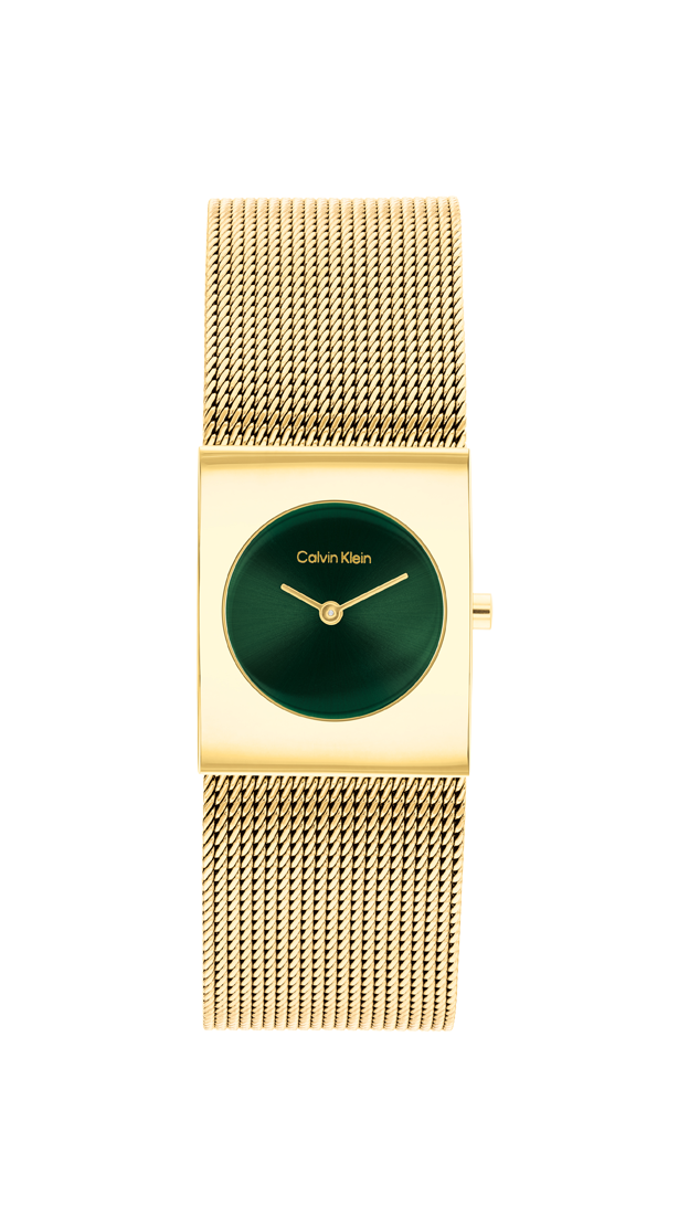 Orologio Calvin Klein 25100136