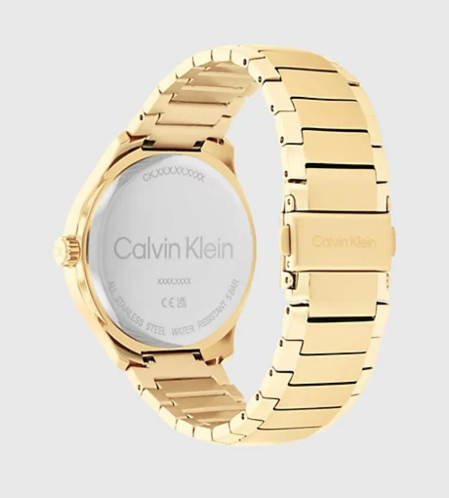 Calvin Klein WM25200349000 watch 