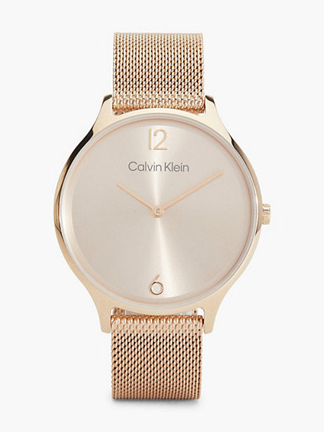 Montre unisexe Calvin Klein WF25200002000 